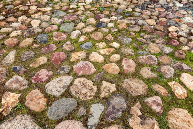 Camino de piedras decorativas en el césped Paisajismo Fondo Espacio para texto