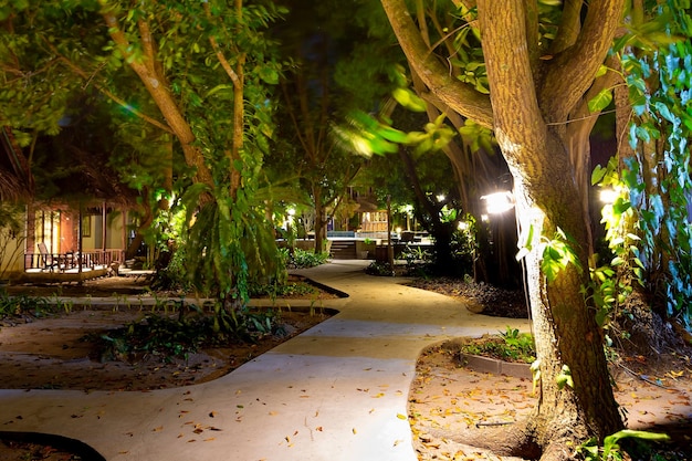 Foto el camino a la piscina por la noche a lo largo de los bungalows y mucho paisaje