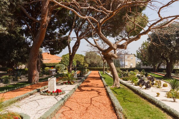 El camino entre las plantas de los jardines Bahai