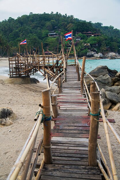 Camino en la playa