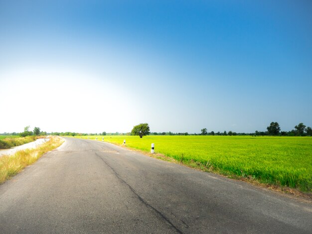 Foto camino en el prado verde en el cielo azul