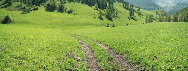 Un camino entre prados de primavera colinas verdes y bosques
