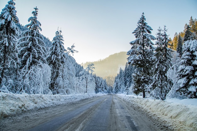 Un camino que atraviesa un bosque nevado y montañas Temporada de invierno