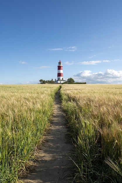 Camino que conduce al faro de Happisburgh a través del campo panorámico