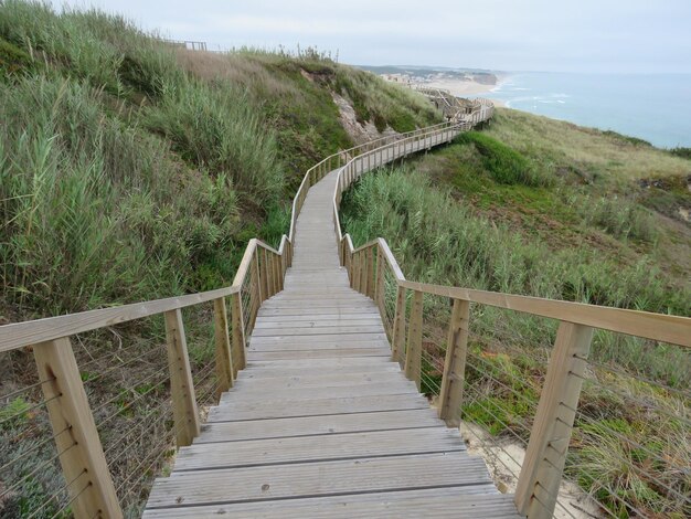 Camino que conduce al mar