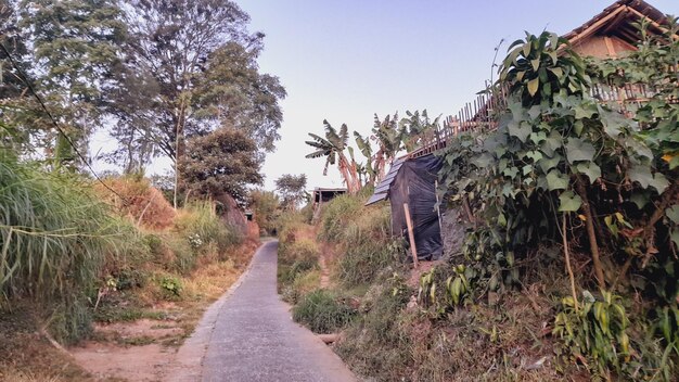 un camino que conduce a una aldea con una casa en el fondo