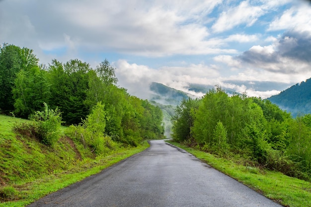 Camino que conduce a las montañas y al bosque que están cubiertos de niebla matutina y cielo azul en las nubes