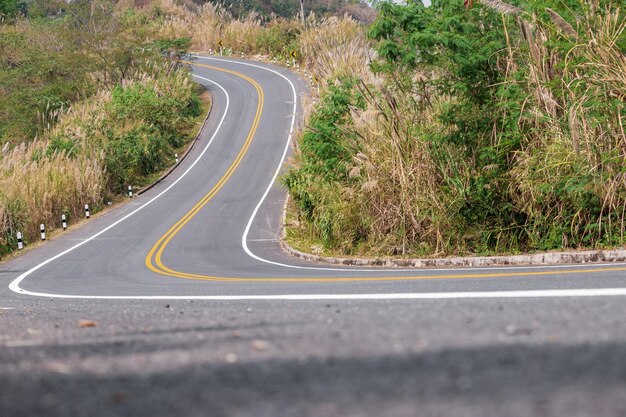 Foto camino que pasa por un campo