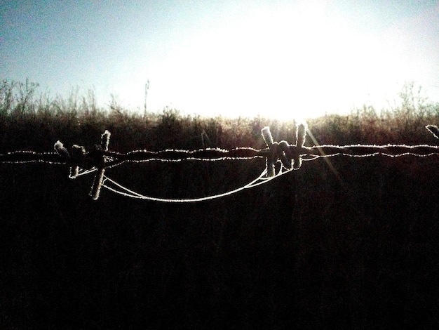 Foto camino que pasa a través del campo