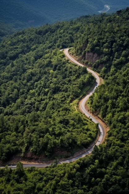 un camino que tiene un camino que tienen un camino en él