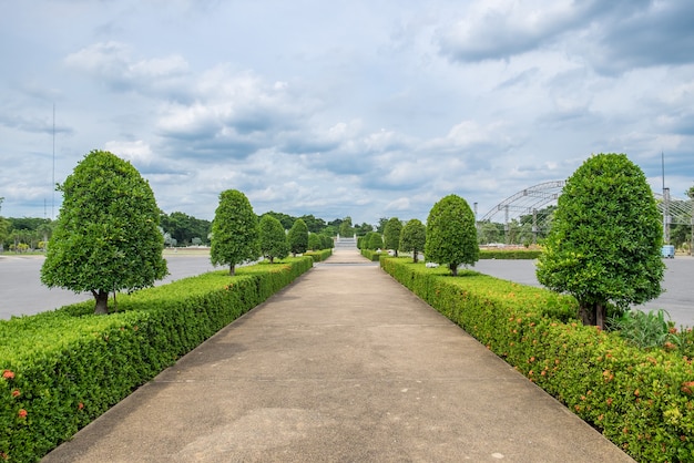 Camino recto ordenado jardín ornamental.