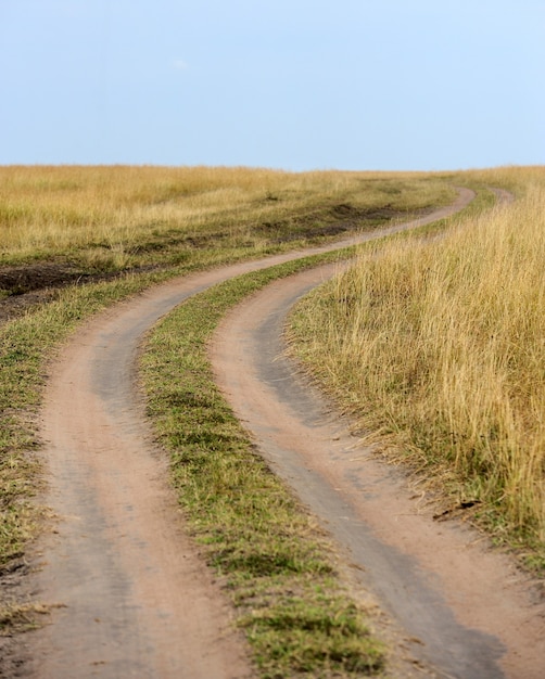 Camino a la Reserva Nacional de Kenia, África