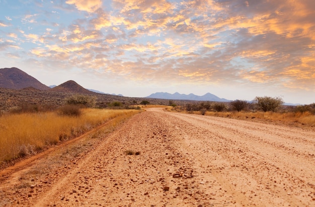 Camino de ripio en bush africano, Namibia