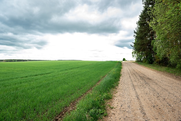 Camino de ripio a lo largo del campo.