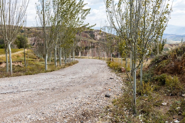 Camino de ripio de pueblo en las montañas en árboles a lo largo de la carretera