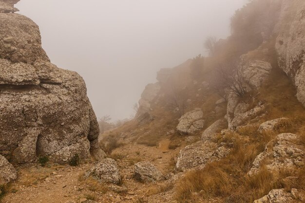 El camino entre las rocas en la cima de la cordillera de Demerdzhi