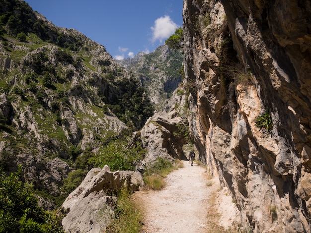 Camino rocoso a través de las grandes montañas