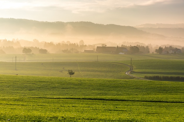 Camino romantico, alemania