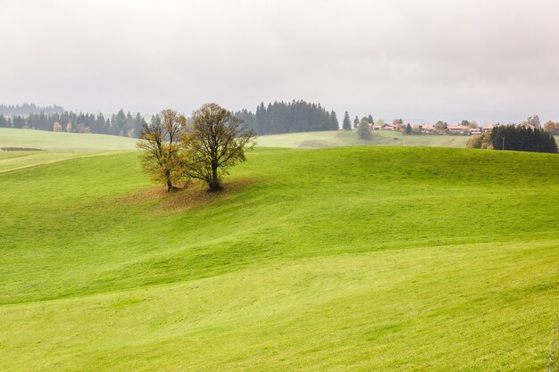 Camino romantico, alemania