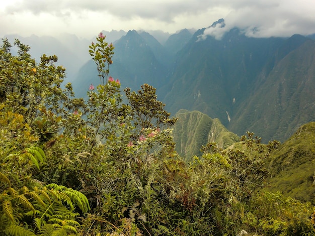 Camino a las ruinas de MachuPicchu visto desde las alturas de las montañas en Cusco Perú