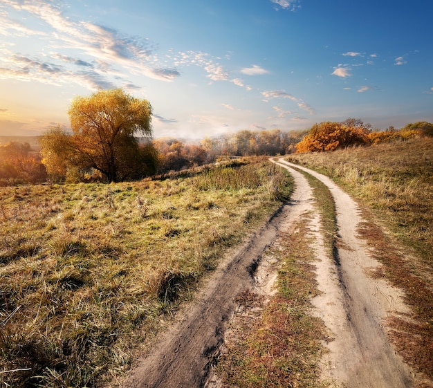 Camino rural al bosque en otoño