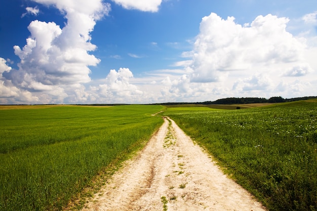 Camino rural en el año de verano.