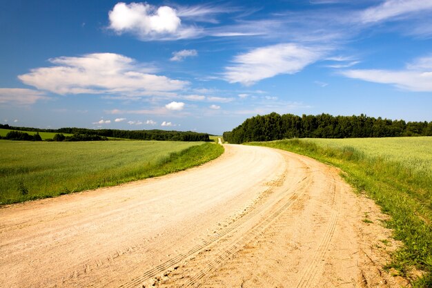 Foto camino rural en el año de verano.