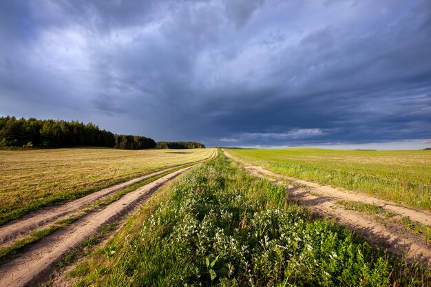Un camino rural sin asfalto