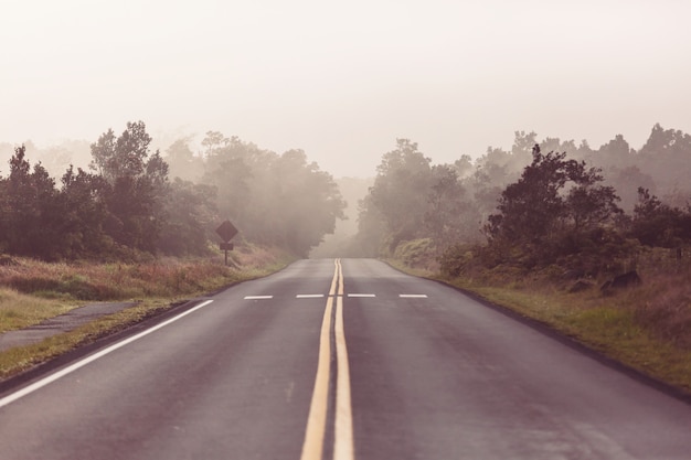 Camino rural en el bosque, Estados Unidos,