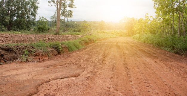 Camino rural en el campo en Tailandia.