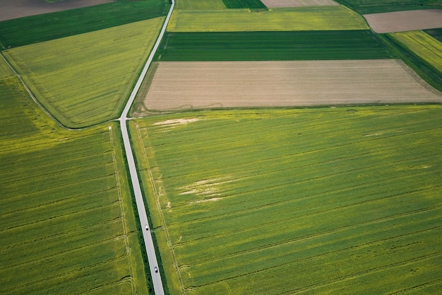 Camino rural entre campos agrícolas vista aérea