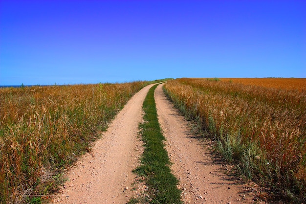 Camino rural y el cielo azul