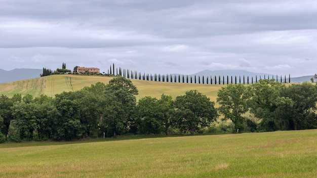 El camino rural con cipreses conduce a la colina hasta una casa de campo con un jardín verde en la Toscana, Italia