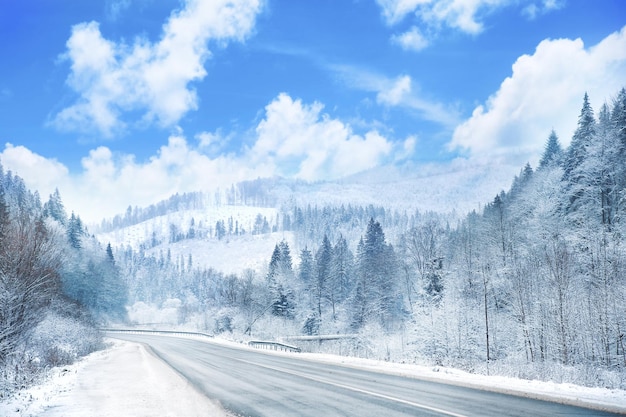 Camino rural en día nevado de invierno