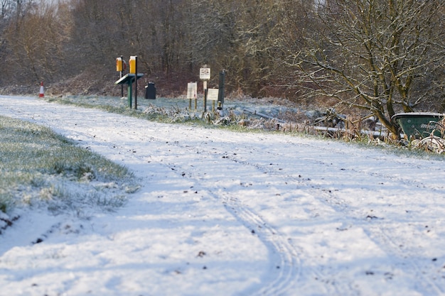 Camino rural de invierno con árboles coníferos cubiertos de nieve que conducen a la distancia durante la mañana brumosa.