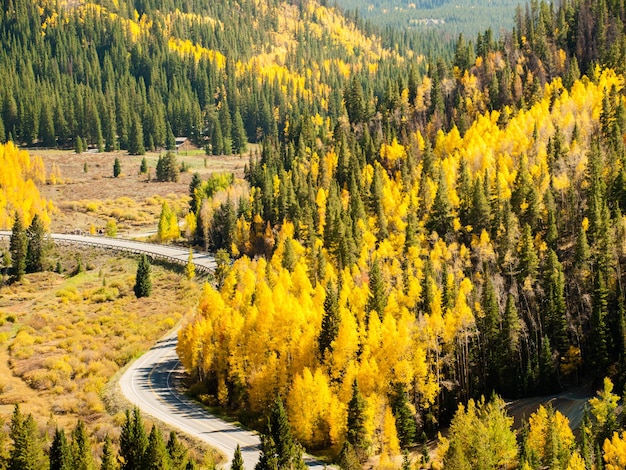 Un camino rural de montaña con una curva en "S" sinuosa. Paisaje otoñal en Colorado.