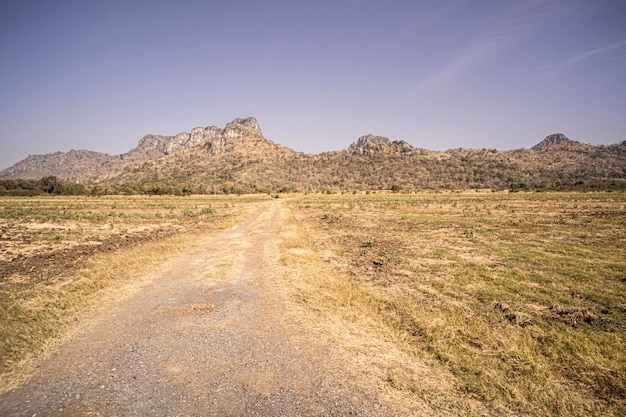 camino rural a la montaña entre pastizales