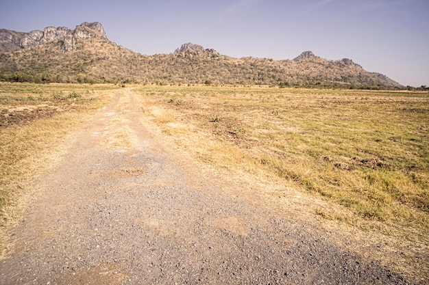 camino rural a la montaña entre pastizales