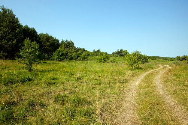 Camino rural no pavimentado en el año de verano.