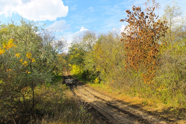 Camino rural sucio en el bosque en otoño