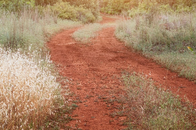 Camino rural de tierra de arcilla roja habitual en África Concepto de viaje y naturaleza
