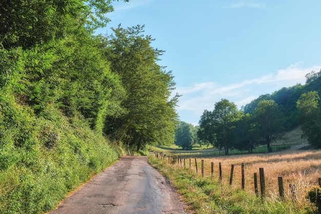 Un camino rural de tierra que conduce a campos agrícolas o pastos agrícolas en una zona remota con árboles serenos y vibrantes Vista panorámica de un paisaje verde y tranquilo de praderas agrícolas en Francia