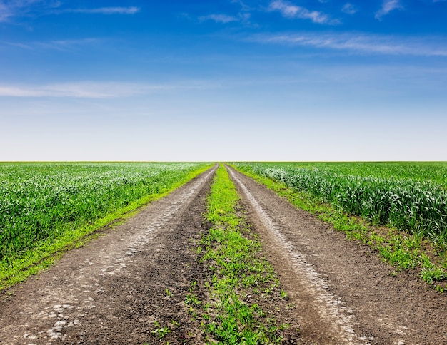 Camino rural a través de los campos