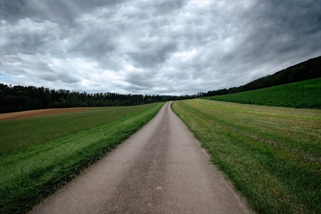 Un camino rural vacío a través de los campos verdes en un día nublado de verano. Bosque al fondo. Nubes de tormenta grises.
