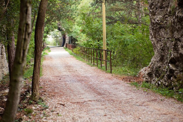 Foto camino rural