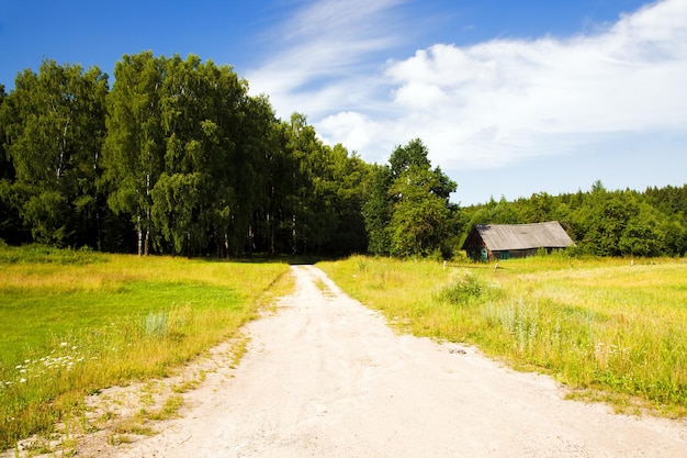 el camino rural