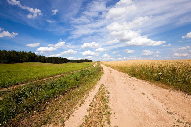 el camino rural