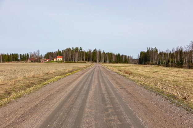 camino rural