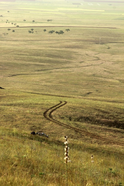 camino rural