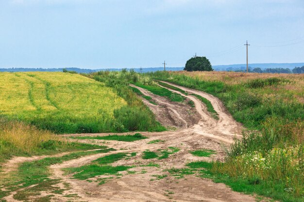 el camino rural